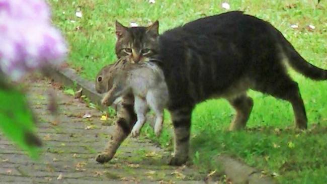 Name:  hehba9z7.jpg
Hits: 169
Gr��e:  31,8 KB