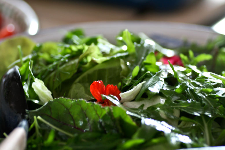 Name:  Kräutersalat-mit-Blüten.jpg
Hits: 45
Gre:  71,2 KB