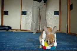 Name:  1misLnQ.gif
Hits: 102
Gre:  816,6 KB