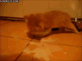 Name:  fI2CHcB.gif
Hits: 119
Gre:  1,81 MB
