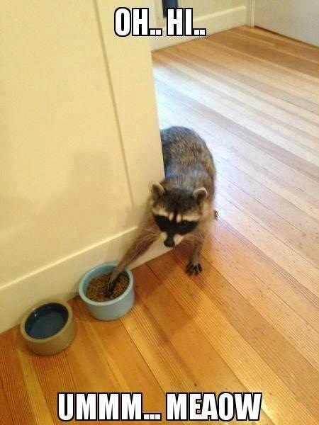 Name:  gUbFinC.jpg
Hits: 104
Gre:  22,5 KB