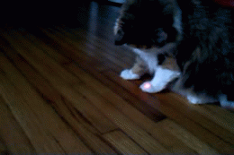 Name:  1XlMbpm.gif
Hits: 118
Gre:  1,08 MB