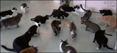 Name:  OoiSAk7.gif
Hits: 107
Gre:  964,7 KB