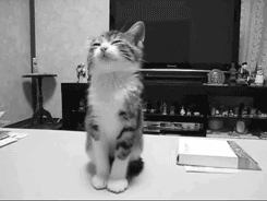 Name:  KEHWeez.gif
Hits: 106
Gre:  766,5 KB