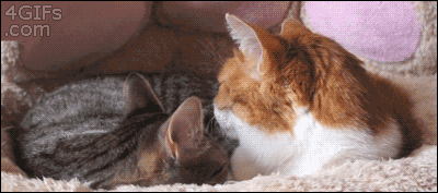Name:  I7NRmiz.gif
Hits: 122
Gre:  1,66 MB