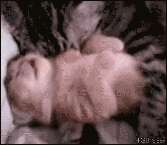 Name:  cat-hugs-kitten.gif
Hits: 111
Gre:  2,00 MB