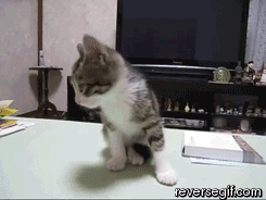 Name:  AumfXXS.gif
Hits: 111
Gre:  993,9 KB