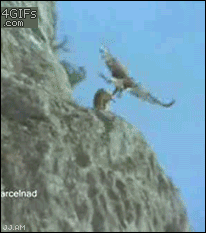 Name:  S0tNUac.gif
Hits: 105
Gre:  1,81 MB