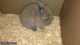 Name:  9T12kmr.gif
Hits: 94
Gre:  1,35 MB
