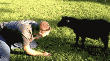Name:  B3HnQc9.gif
Hits: 128
Gre:  1,89 MB