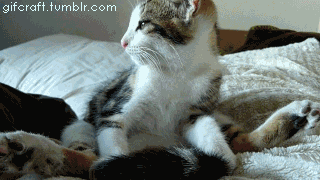Name:  xi03EAp.gif
Hits: 129
Gre:  1,99 MB