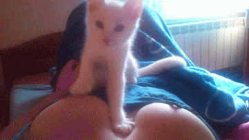 Name:  xmB8fQJ.gif
Hits: 94
Gre:  1,86 MB