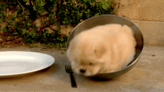 Name:  NnjJnEQ.gif
Hits: 177
Gre:  1,84 MB