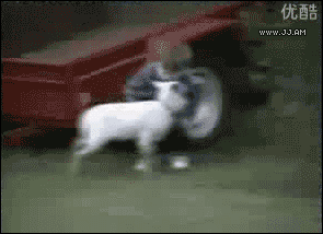 Name:  sAlyLOG.gif
Hits: 170
Gre:  1,12 MB