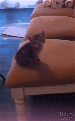 Name:  tumblr_mv5k4kmdhh1qdlh1io1_250.gif
Hits: 139
Gre:  1,99 MB