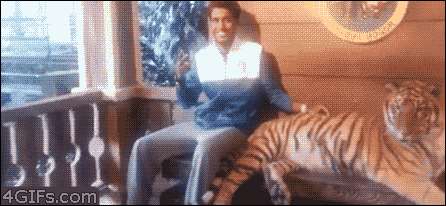 Name:  0apGrT6.gif
Hits: 114
Gre:  1.022,4 KB