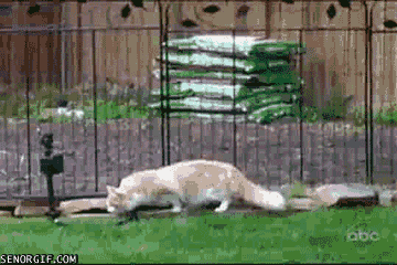 Name:  E2TfVWp.gif
Hits: 108
Gre:  1,80 MB