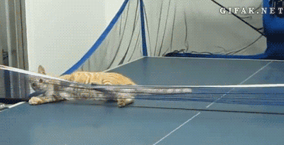 Name:  MPLRdMG.gif
Hits: 110
Gre:  2,00 MB