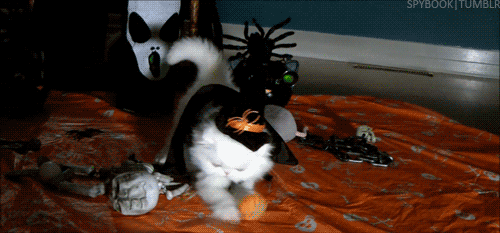 Name:  91U5ed9.gif
Hits: 117
Gre:  1.000,3 KB
