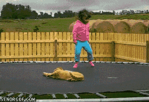 Name:  cV4So0a.gif
Hits: 114
Gre:  1,89 MB