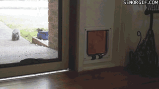Name:  onAy8mH.gif
Hits: 135
Gre:  1,85 MB