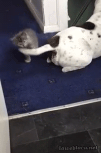 Name:  tnxY2v4.gif
Hits: 126
Gre:  1,52 MB