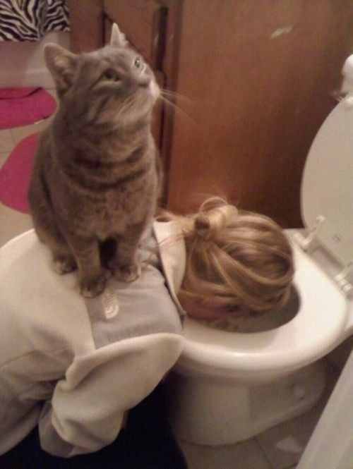 Name:  wasted-62.jpg
Hits: 117
Gre:  15,9 KB