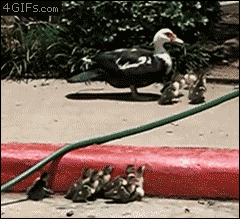Name:  5Bvx0mv.gif
Hits: 164
Gre:  2,00 MB