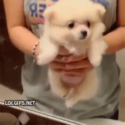 Name:  ISa6wI6.gif
Hits: 158
Gre:  1,56 MB