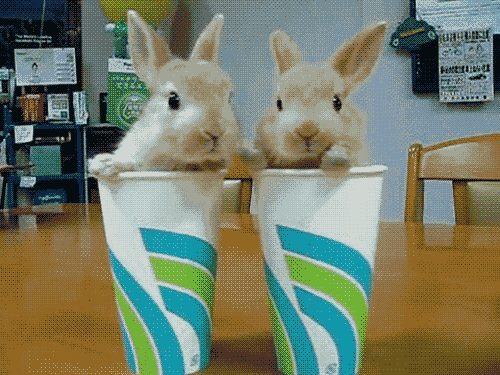 Name:  TUanT3J.gif
Hits: 155
Gre:  390,7 KB