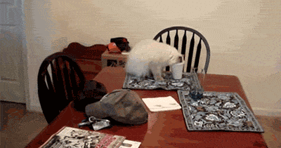 Name:  tumblr_muobmtuz2U1sewz1yo1_400.gif
Hits: 157
Gre:  1,26 MB