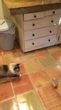 Name:  2ib7OqE.gif
Hits: 197
Gre:  1,97 MB