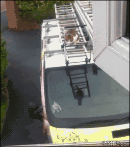 Name:  tumblr-m45tvanpuf1qdlh1io1-400.gif
Hits: 168
Gre:  1.023,6 KB