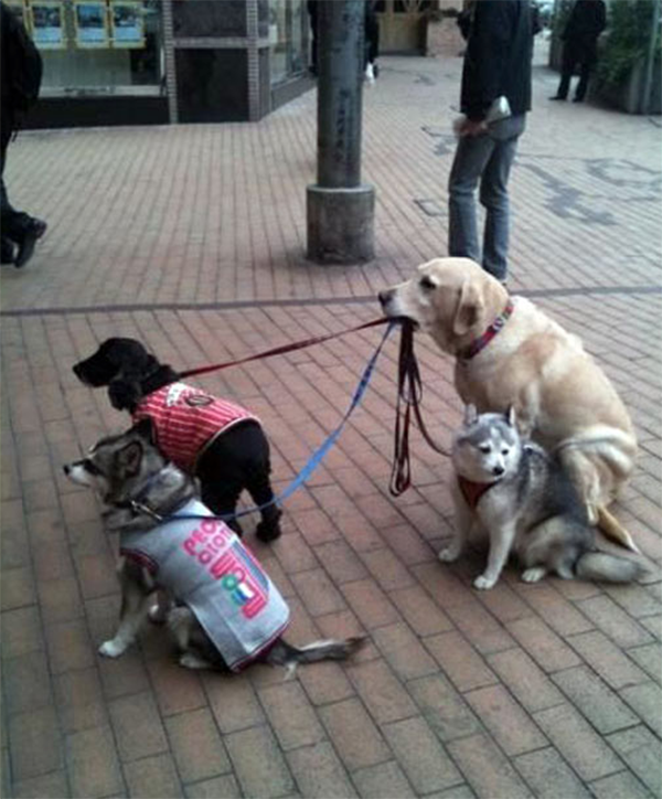 Name:  watchingdogs.png
Hits: 169
Gre:  597,2 KB