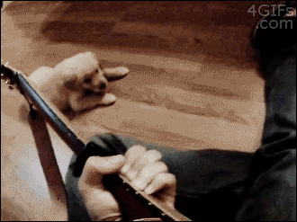 Name:  nWWbYQy.gif
Hits: 117
Gre:  1,71 MB