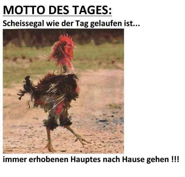 Name:  motto.jpg
Hits: 276
Gre:  26,2 KB