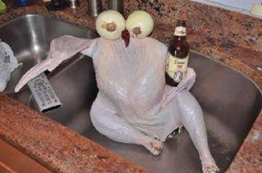 Name:  chilling bird.jpg
Hits: 269
Gre:  25,3 KB
