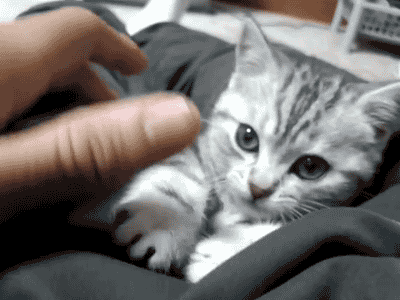 Name:  YD0MuaF.gif
Hits: 225
Gre:  1,73 MB