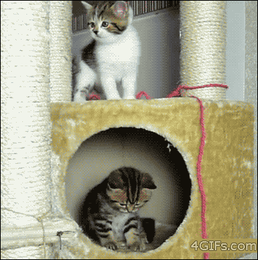 Name:  2vDPC4m.gif
Hits: 205
Gre:  1.022,3 KB