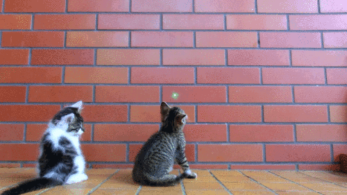 Name:  UFo5X7D.gif
Hits: 204
Gre:  1,40 MB