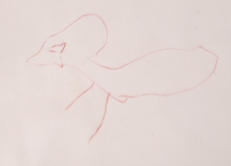 Name:  maulwurf.jpg
Hits: 158
Gre:  18,9 KB