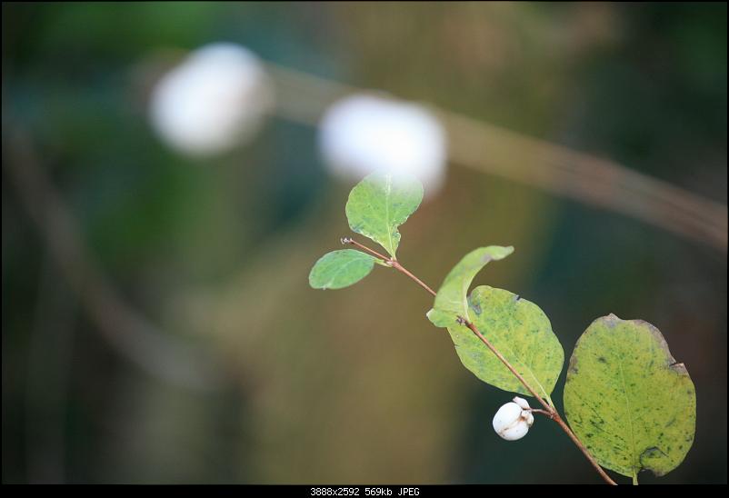 Klicken Sie auf die Grafik f�r eine gr��ere Ansicht&nbsp;

Name:	bild09.jpg&nbsp;
Hits:	591&nbsp;
Gr��e:	568,7 KB&nbsp;
ID:	12536