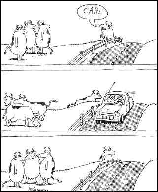 Name:  cows.jpg
Hits: 455
Gre:  19,6 KB