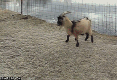 Name:  ykbakre.gif
Hits: 321
Gre:  1,82 MB