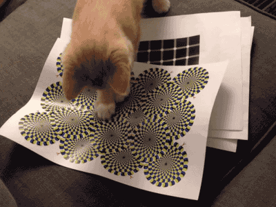 Name:  tumblr-mjapwegj3w1qbyxr0o1-400.gif
Hits: 287
Gre:  1,92 MB