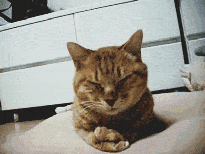 Name:  TFazJ2l.gif
Hits: 142
Gre:  1,70 MB