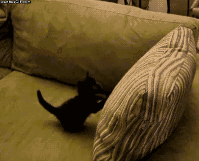 Name:  imgur-iaprflf.gif
Hits: 134
Gre:  985,1 KB