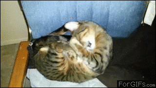 Name:  dNfHaiU.gif
Hits: 151
Gre:  1,51 MB