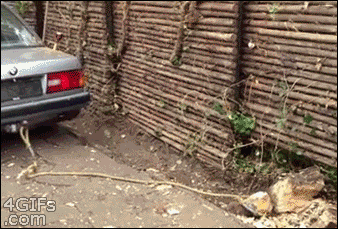 Name:  7497_a568.gif
Hits: 139
Gre:  2,00 MB