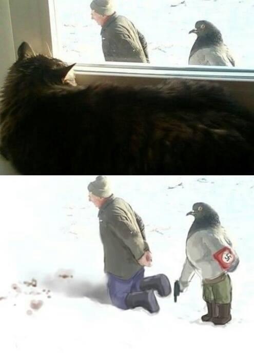 Name:  MvNEavu.jpg
Hits: 89
Gre:  25,8 KB